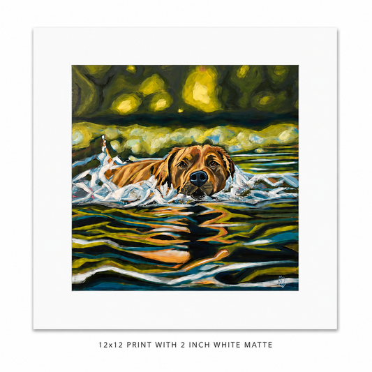 *Award Winning-Lake Life-12x12 matte print