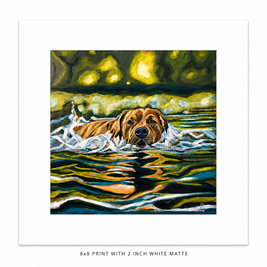 *Award Winning-Lake Life 8x8 matte print